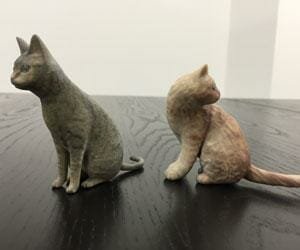 Mascotas